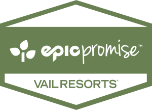 VR Epic Promise Logo